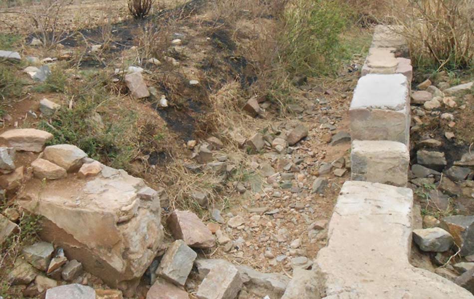 damage to cenals8