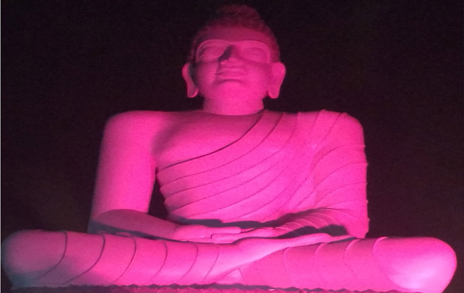 Dhyana buddha shining in seven colours3