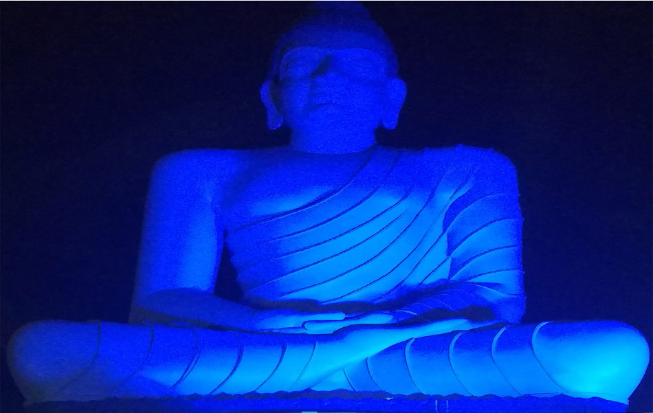 Dhyana buddha shining in seven colours6