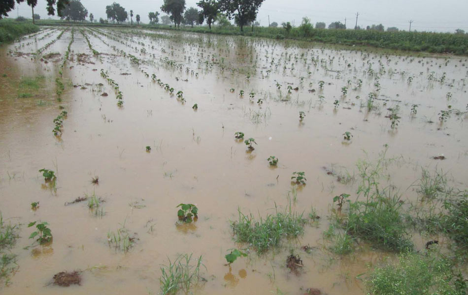 happy with rain - Sakshi5
