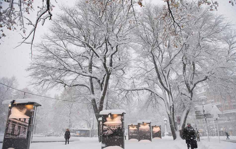 snow storm hits sweden10