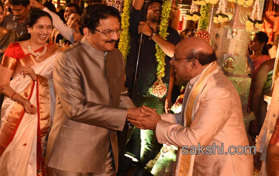 They cheered the wedding ceremony - Sakshi2