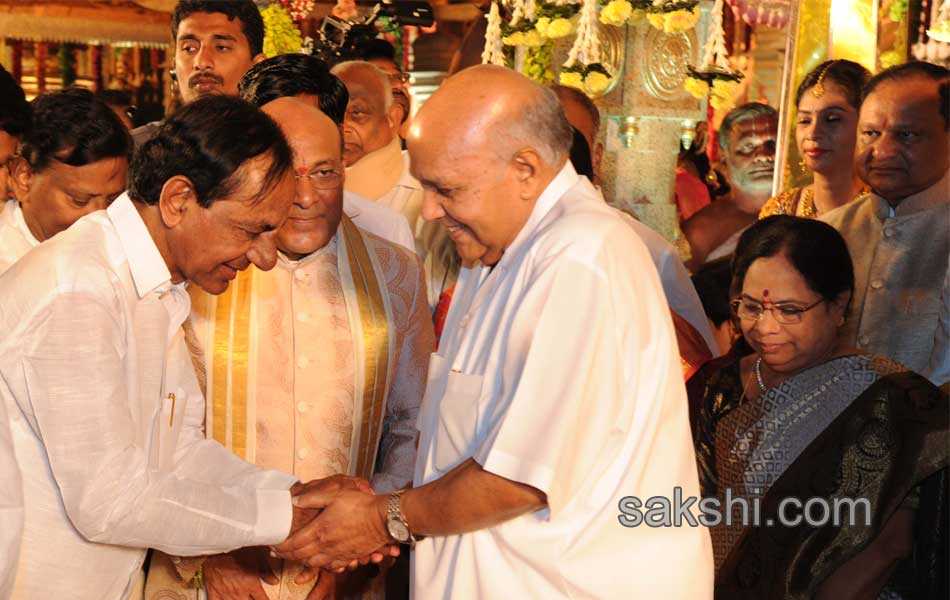 They cheered the wedding ceremony - Sakshi8