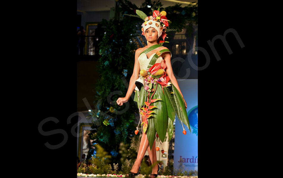 organic fashion show in columbia11