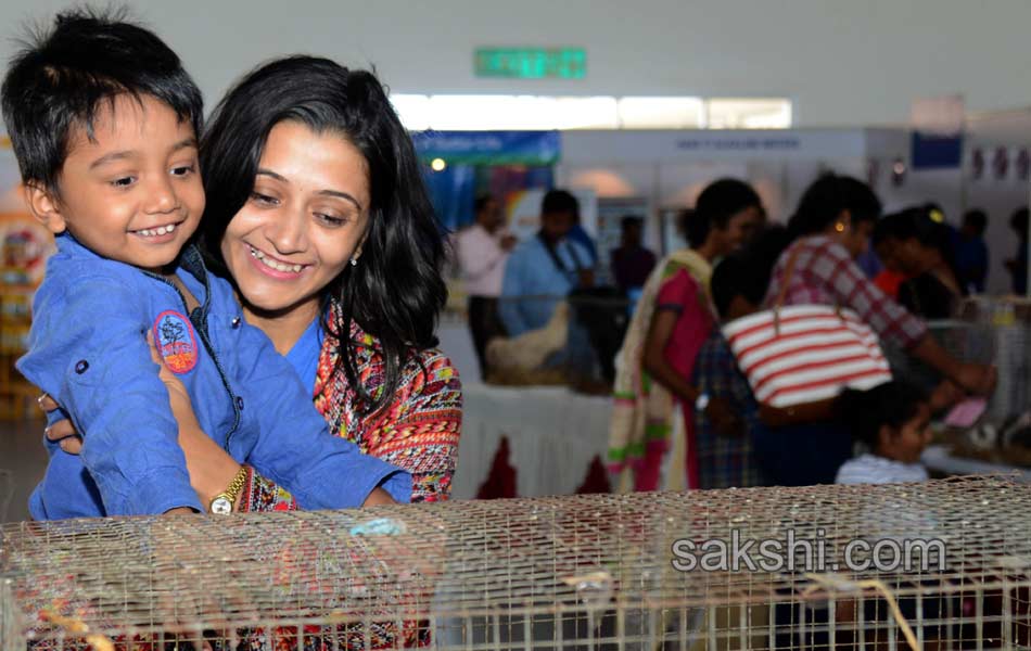 Dog Shows in Hyderabad City - Sakshi2