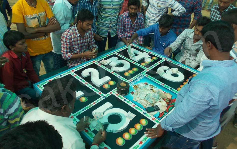 cock fight20