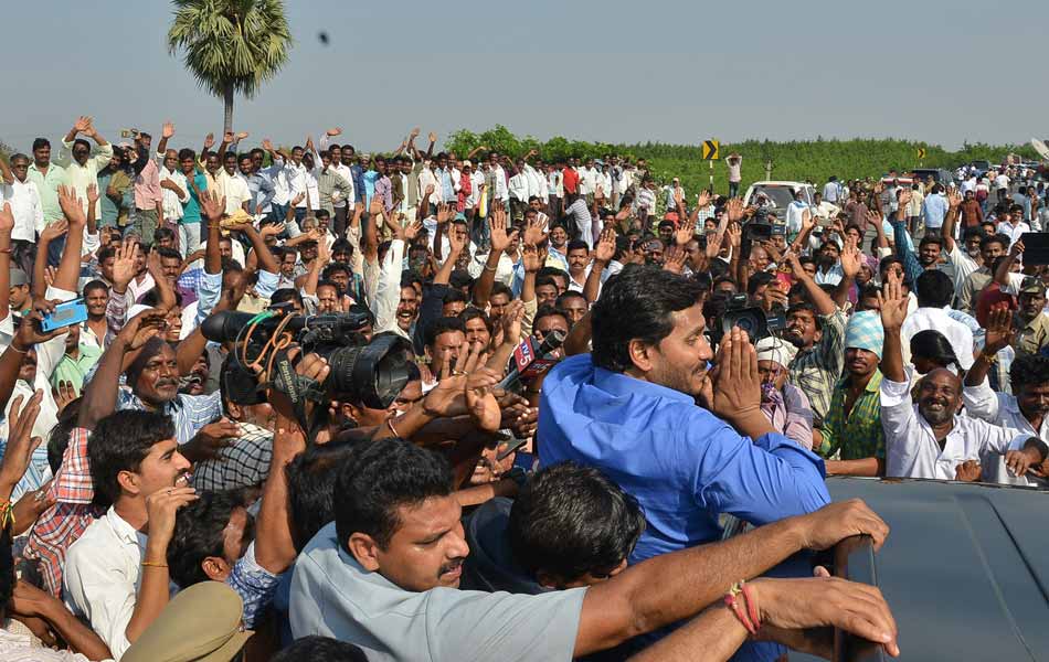 Travels authorities backed Chandrababu - Sakshi15