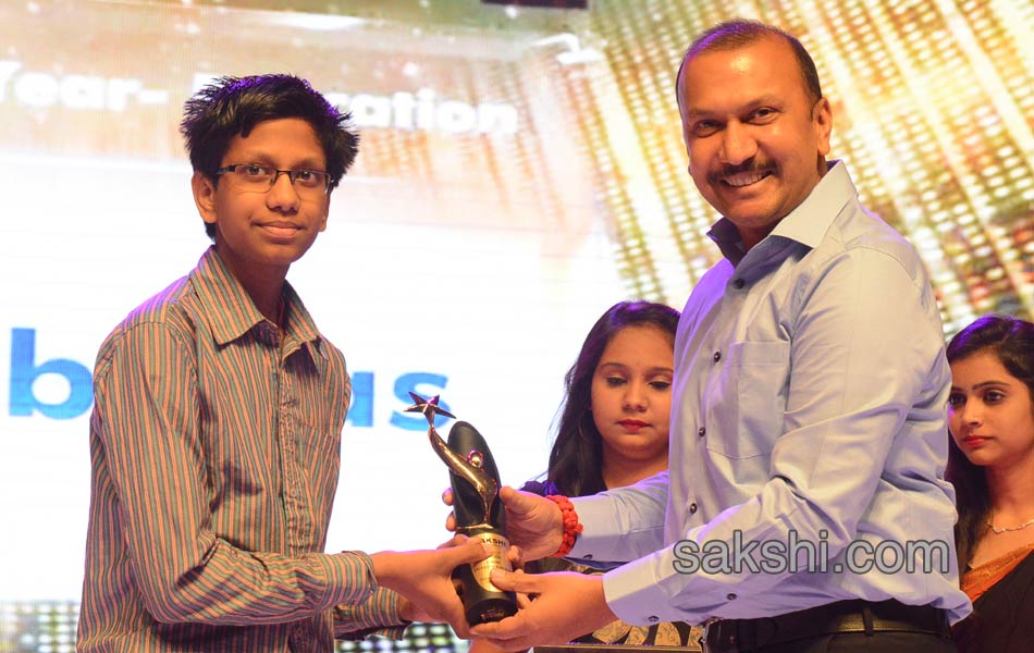 Sakshi Excellence Awards Ceremony 20175