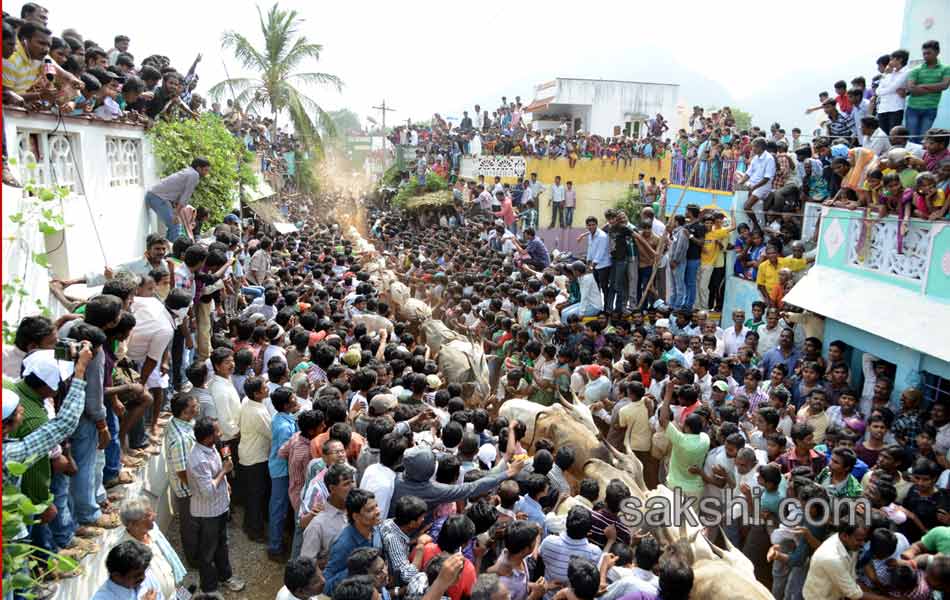 2014 Alanganallur Jallikattu - Sakshi36