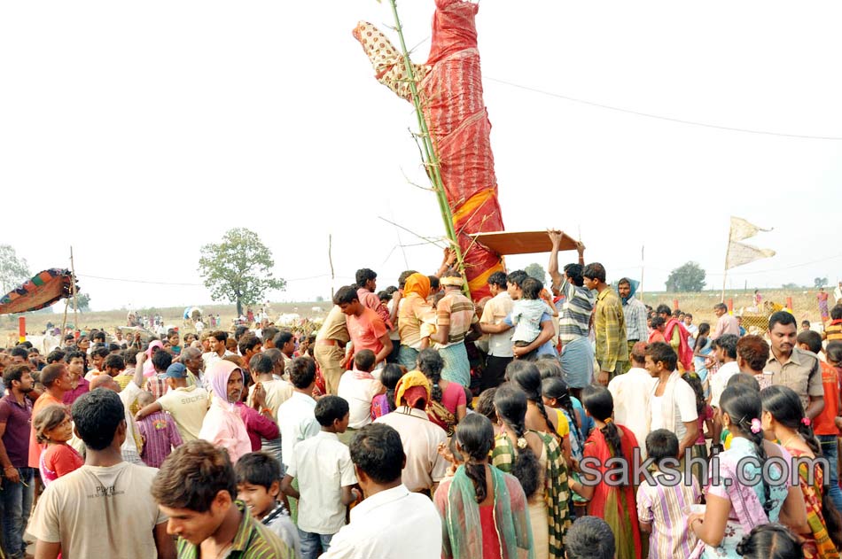 medaram jathara4