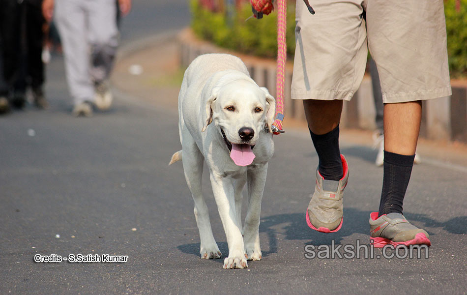 Harithon Eco Green Run organised in Hyderabad on Sunday19