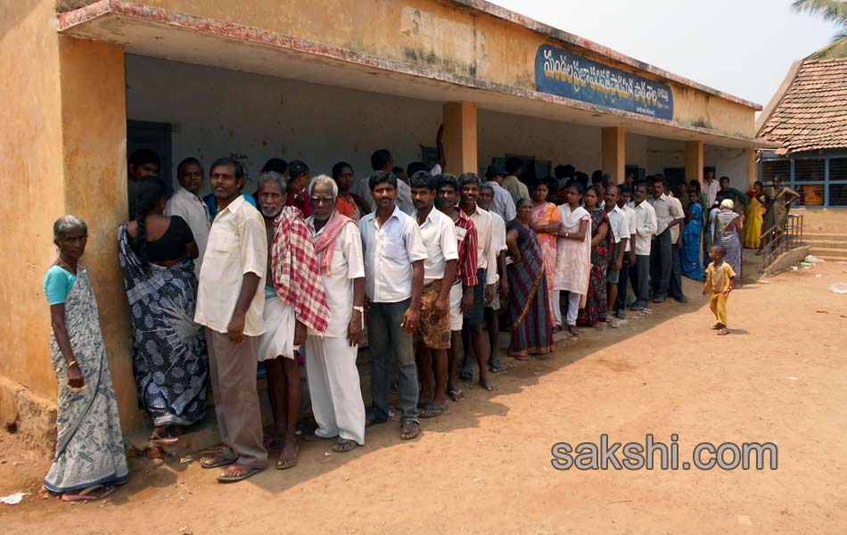 ZPTC MPTC polling at different districts in state - Sakshi13