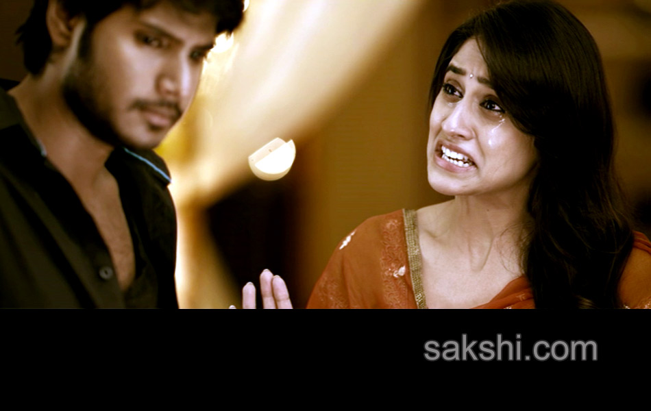 Ra Ra Krishnayya Movie new stills - Sakshi25