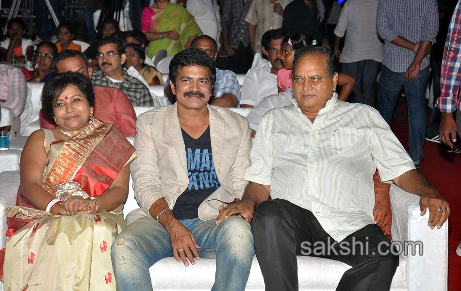 Dikkulu chudaku ramayya Audio Launch - Sakshi15