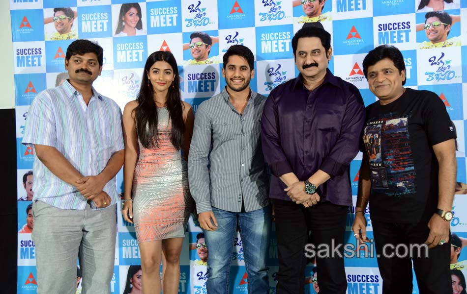 oka laila kosam movie success meet1