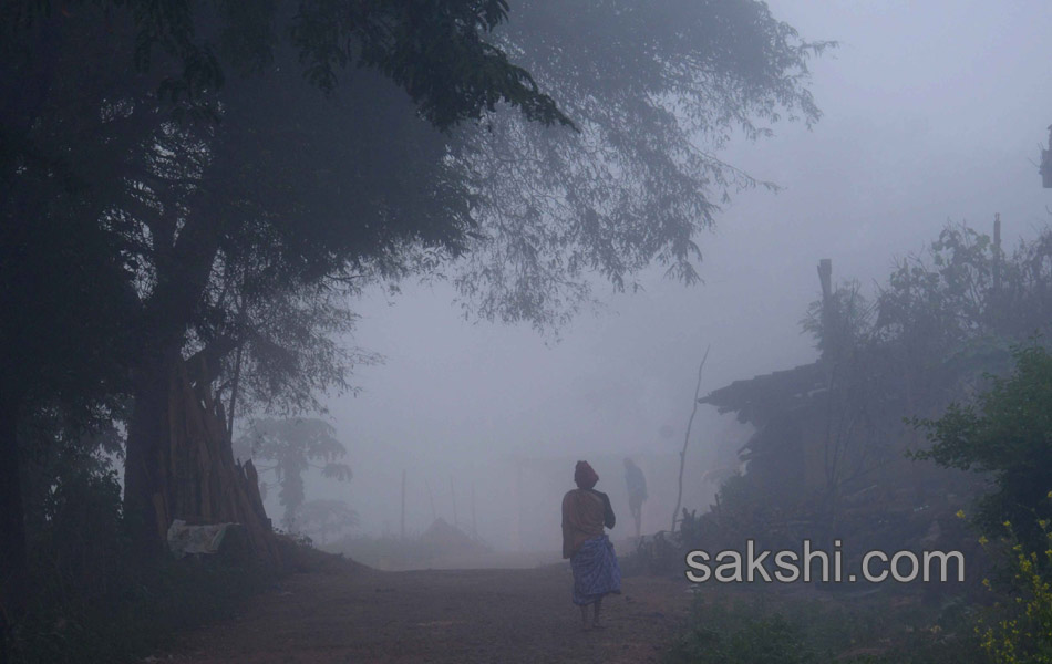 2014 Best Images - Sakshi53