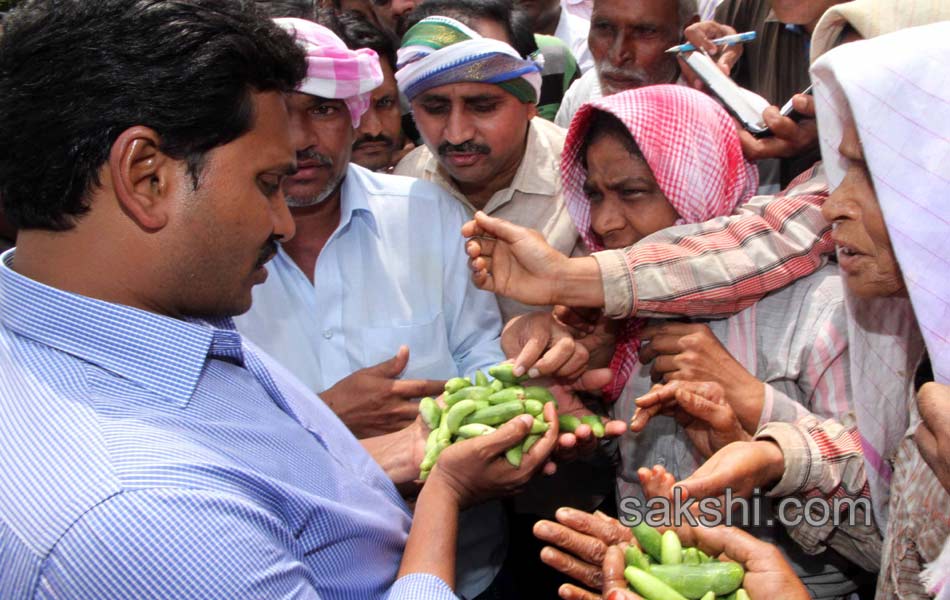 ys jagan mohan reddy visit in andrapradesh capital villages - Sakshi14