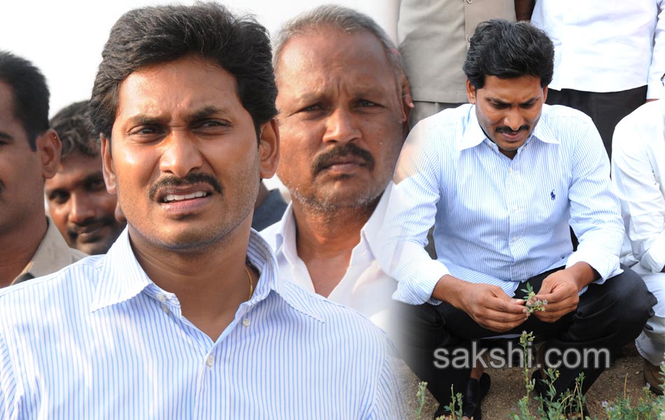 IG Car YS Jagan Mohan Reddy - Sakshi17