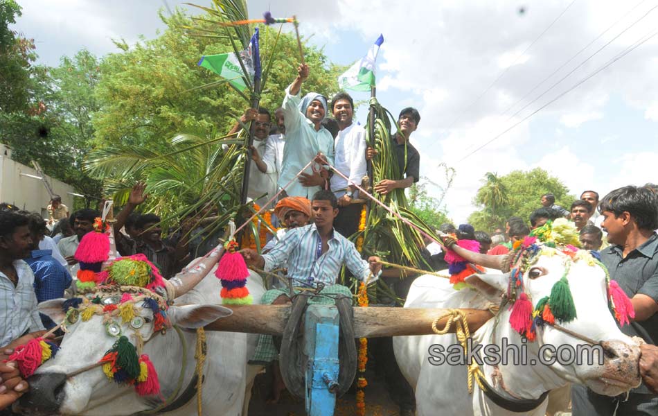 YS jagan mohan reddy tour in ananthapuram - Sakshi3