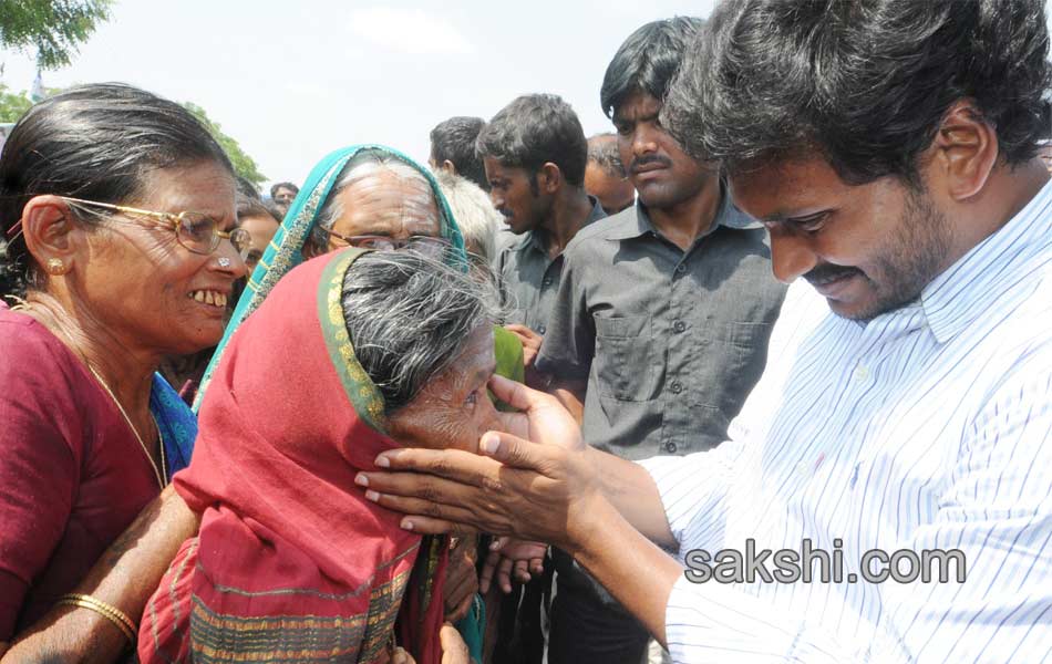 Ys Jagan Mohan Reddy - Sakshi12