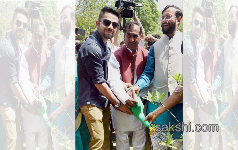 World Environment Day4