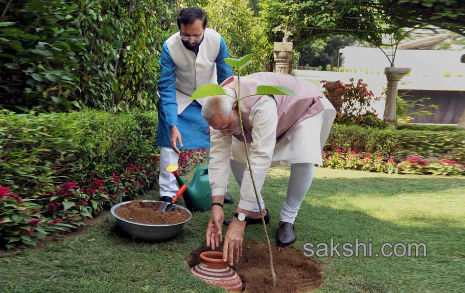 World Environment Day7