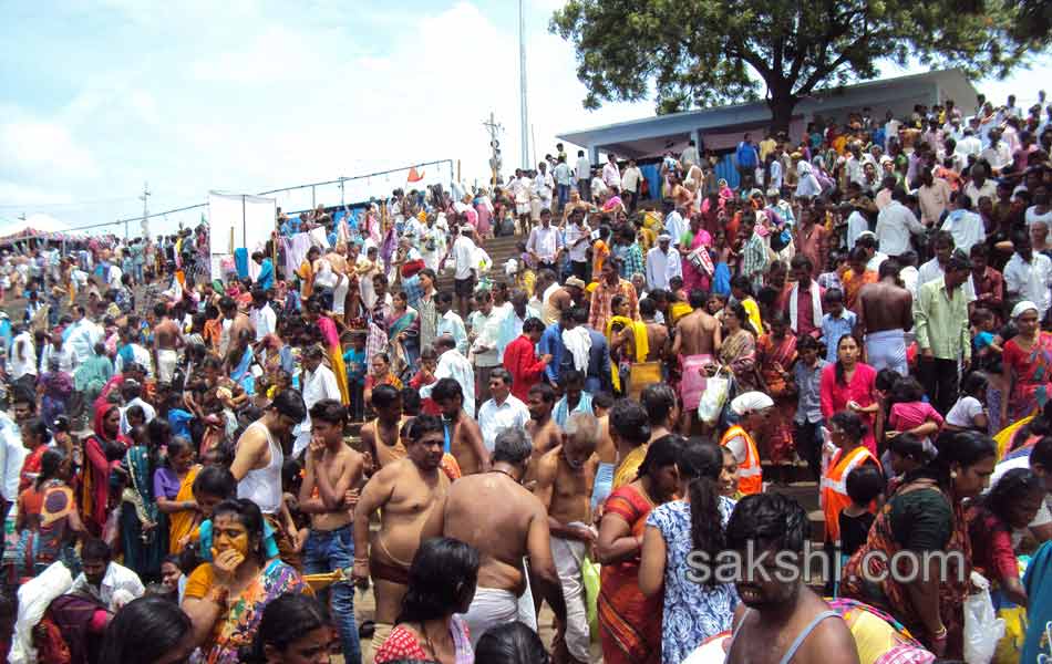 telangana godavari pushkaralu - Sakshi8