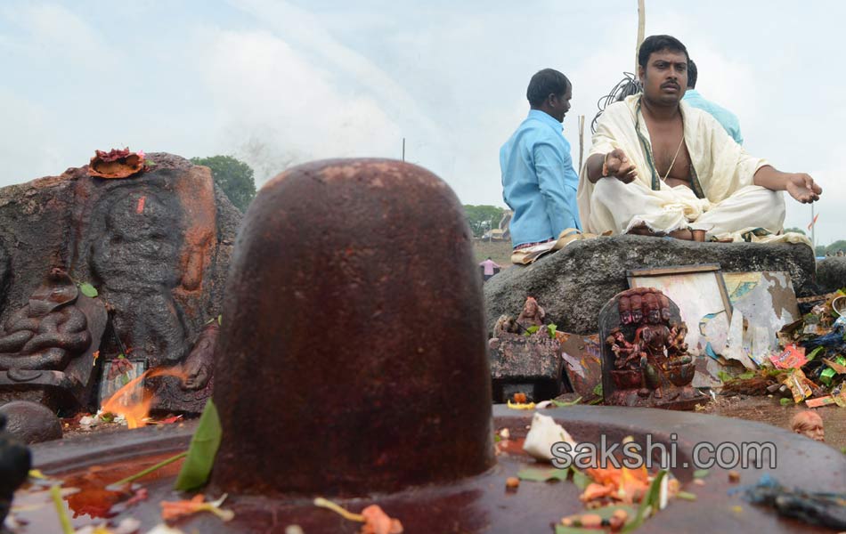 telangana godavari pushkaralu - Sakshi9