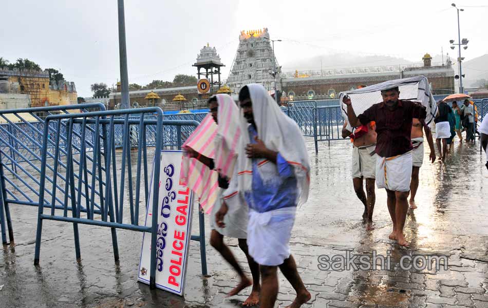 Huge Rains in Thirumala2