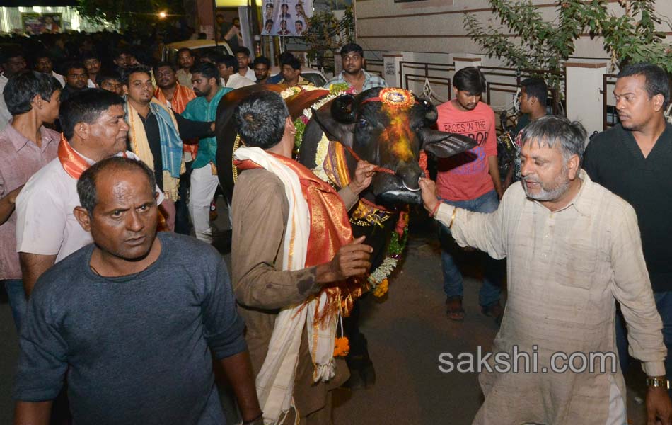 Sadar celebrations7