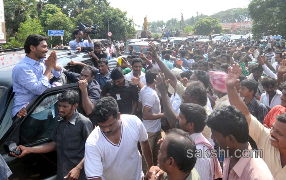 YS jagan tourn in Nellore district - Sakshi6