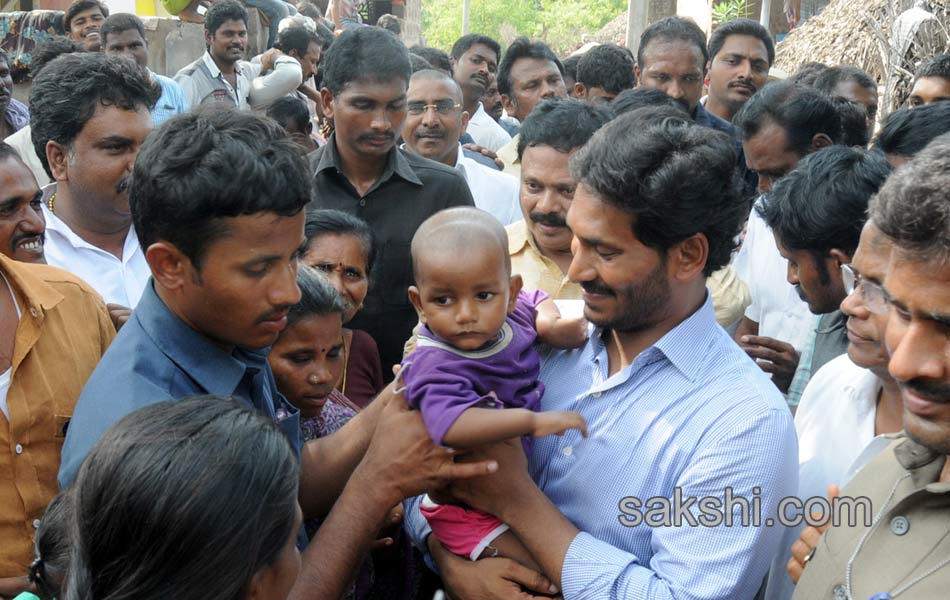 YS jagan tourn in Nellore district - Sakshi17