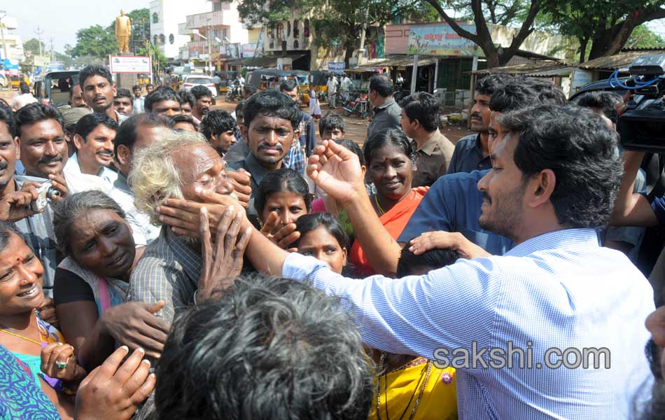 YS jagan tourn in Nellore district - Sakshi24