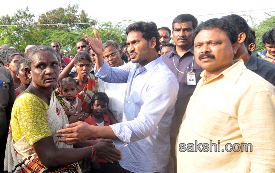 YS jagan tourn in Nellore district - Sakshi29