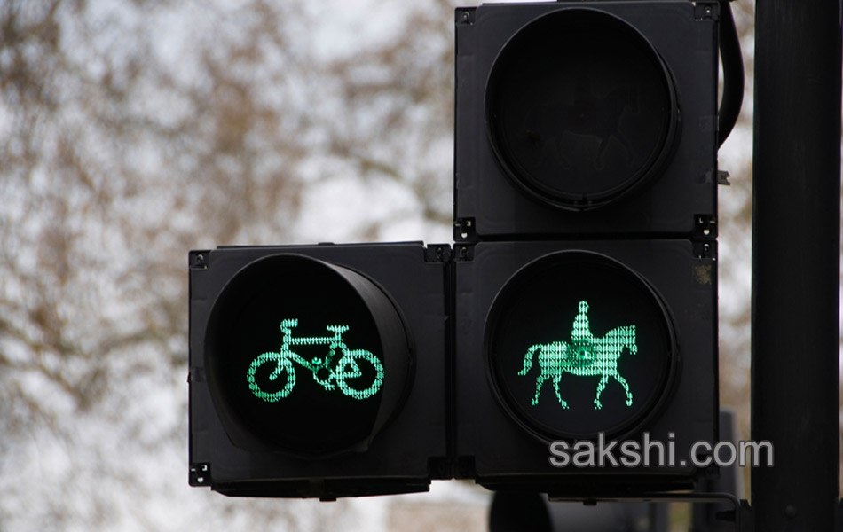 wonderful traffic signals around the world9