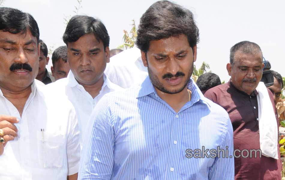 ys jaganmohan reddy tour in pulivendula - Sakshi4