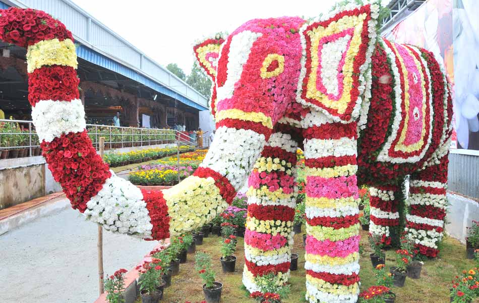 attractive flower exhibition3