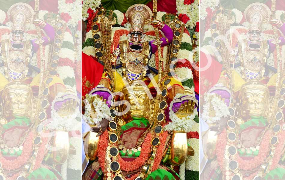 Hanumanthu Vahana brahmotsavam10