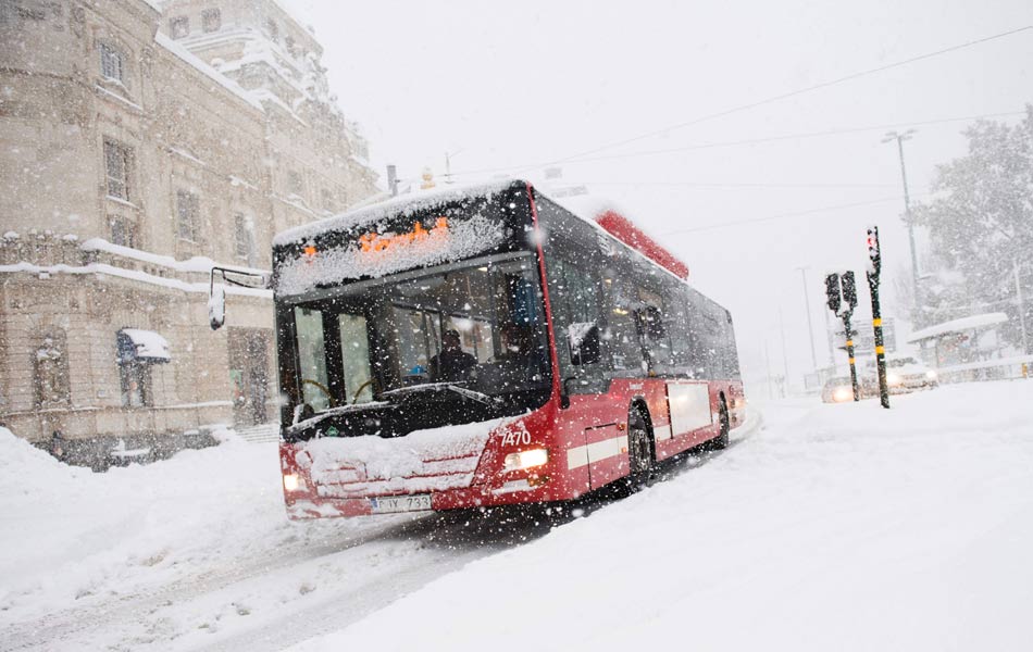 snow storm hits sweden11