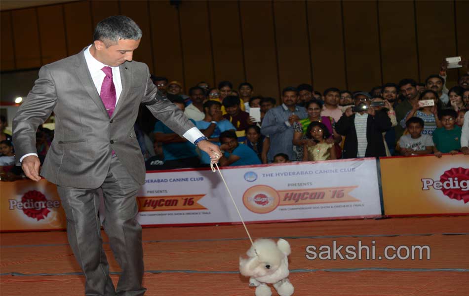 Dog Shows in Hyderabad City - Sakshi12