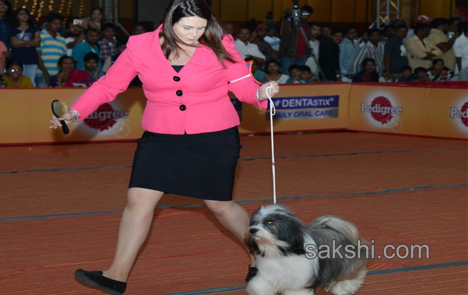 Dog Shows in Hyderabad City - Sakshi20