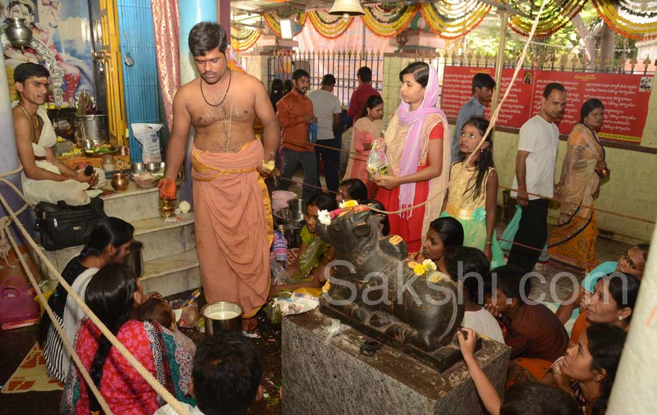 mahashivratri in ap - Sakshi12