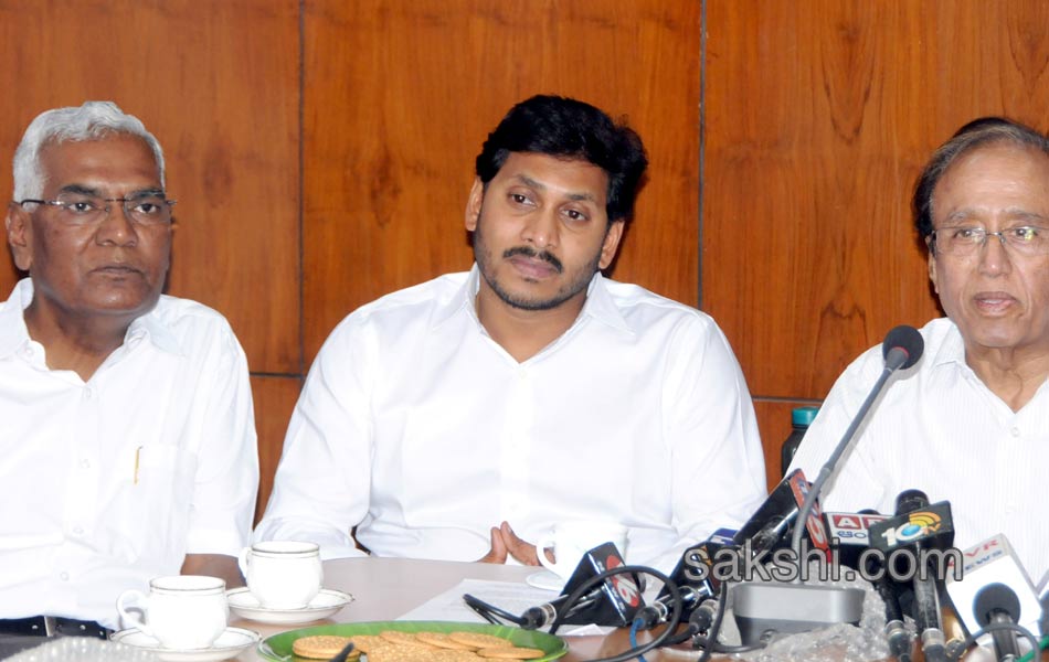 YS jagan delhi tour - Sakshi11