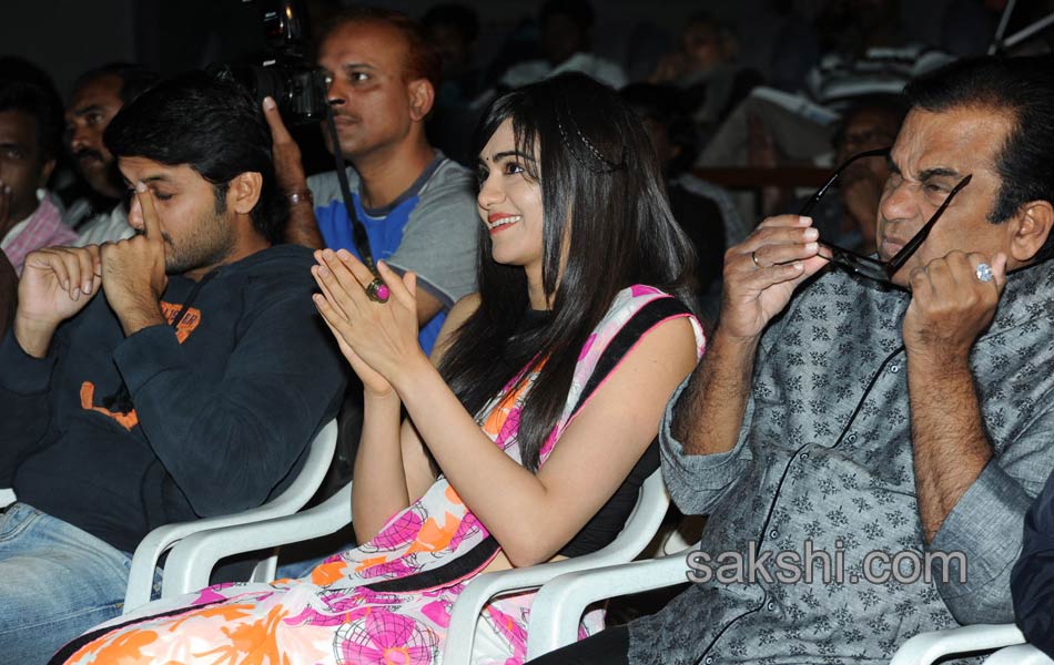Heart Attack audio success meet - Sakshi8