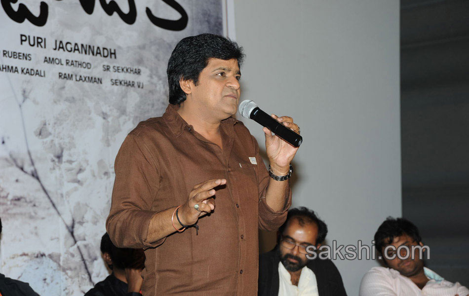 Heart Attack audio success meet - Sakshi34