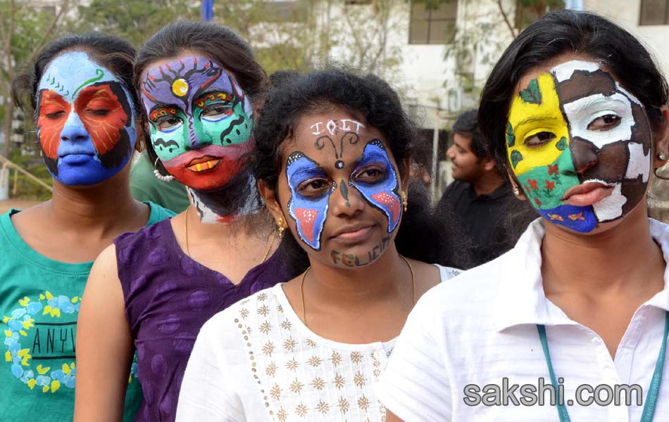 colourful festival13