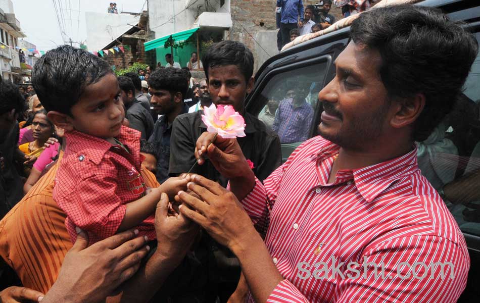 Jagan road show in Tekkali - Sakshi13