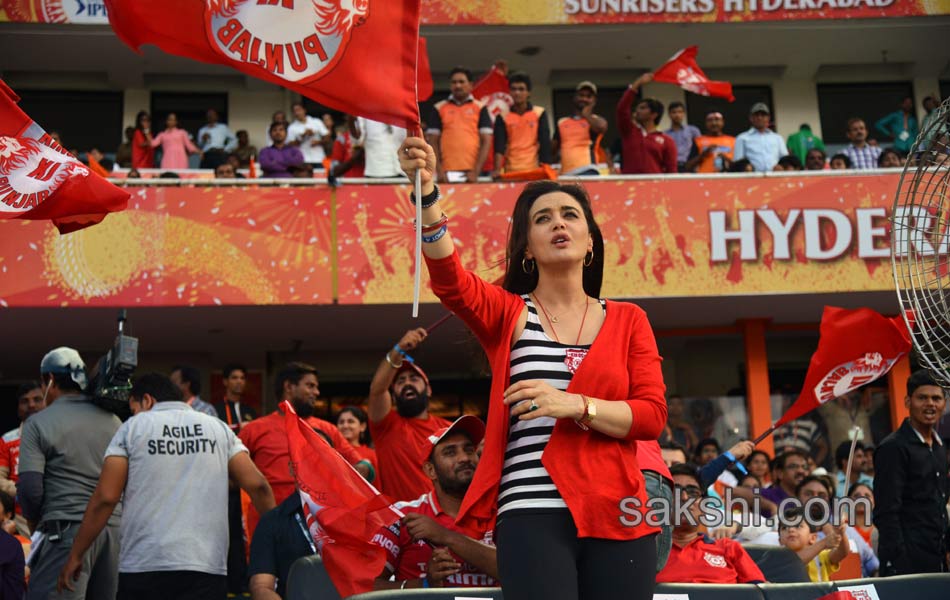 IPL festival in Hyderabad22
