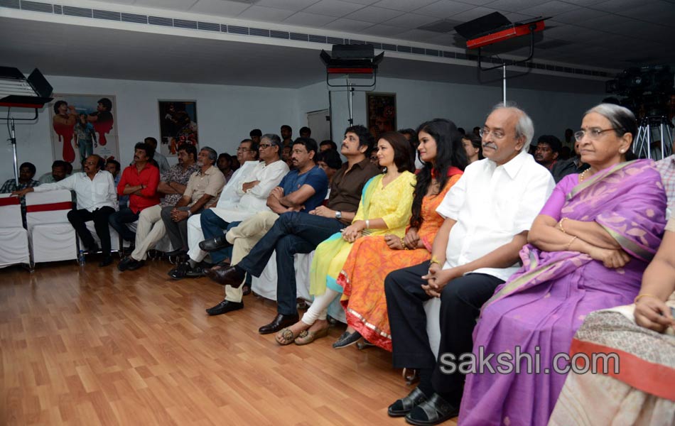 Nagarjuna Shiva completes 25 years - Sakshi2