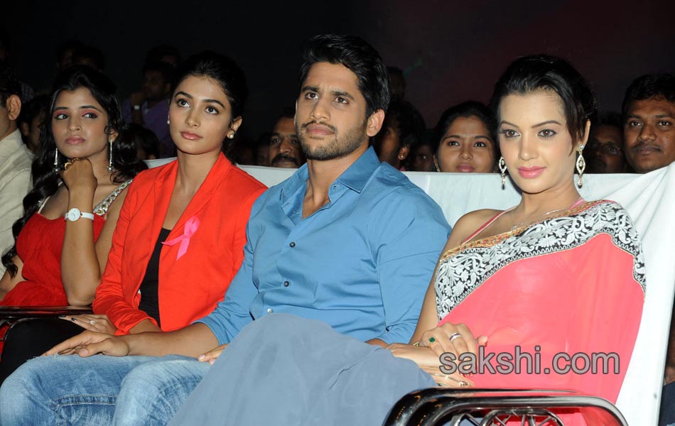 Oka Laila Kosam Audio Success Meet17
